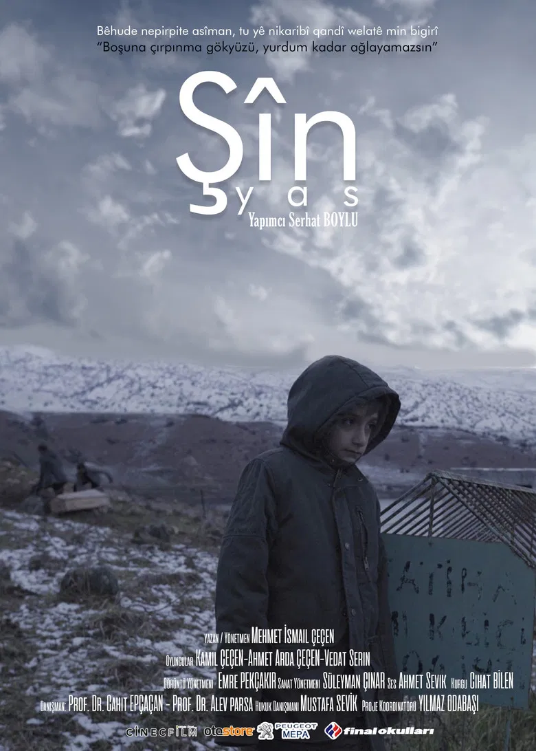 ŞİN poster background