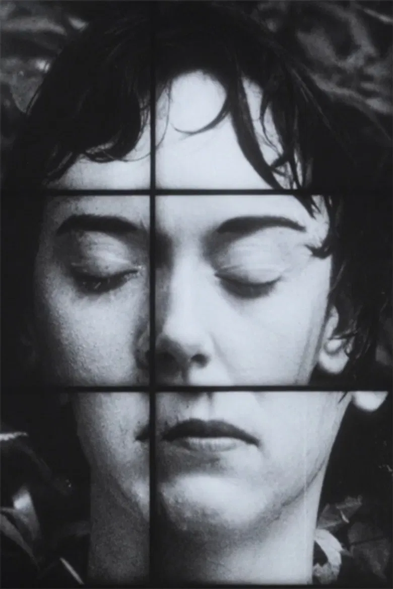 A Temporary Arrangement poster background