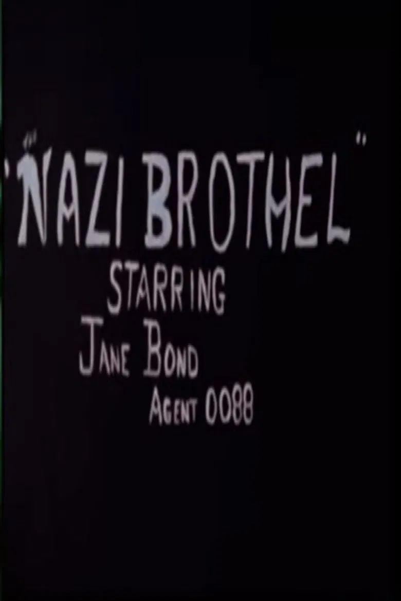 Nazi Brothel poster background