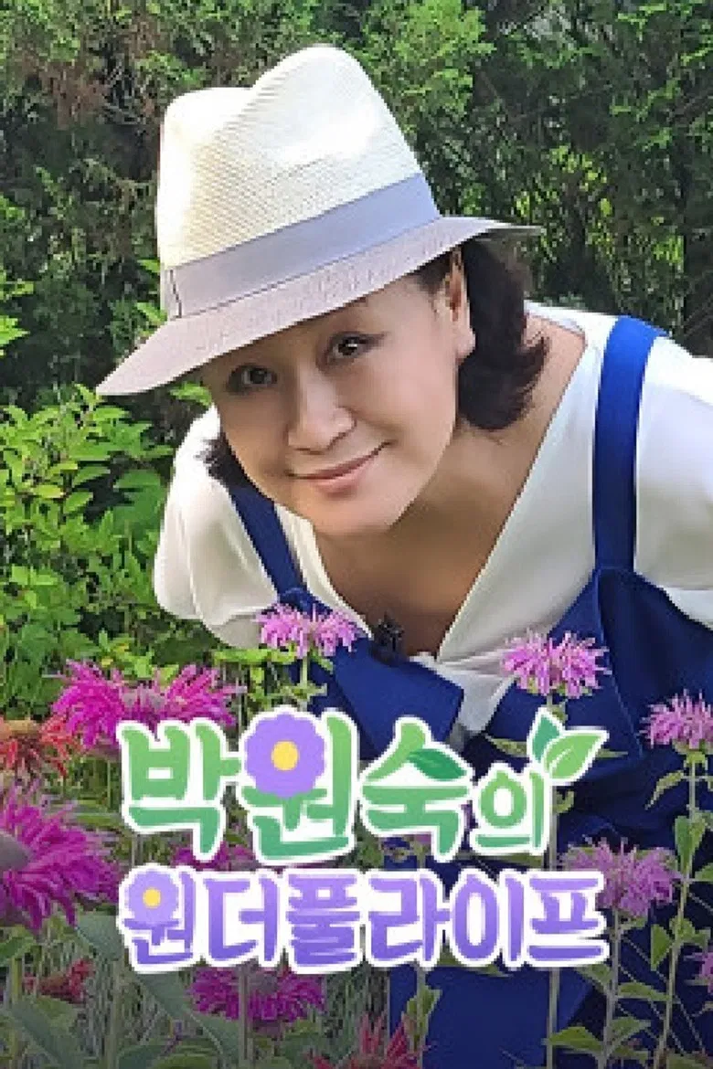 박원숙 원더풀라이프 poster background