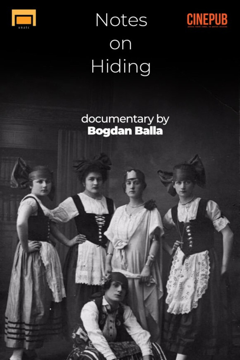 Notes on Hiding poster background