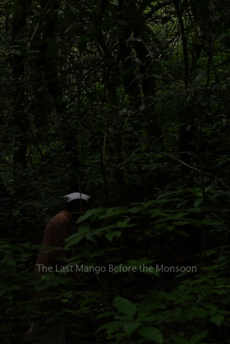 The Last Mango Before the Monsoon poster background