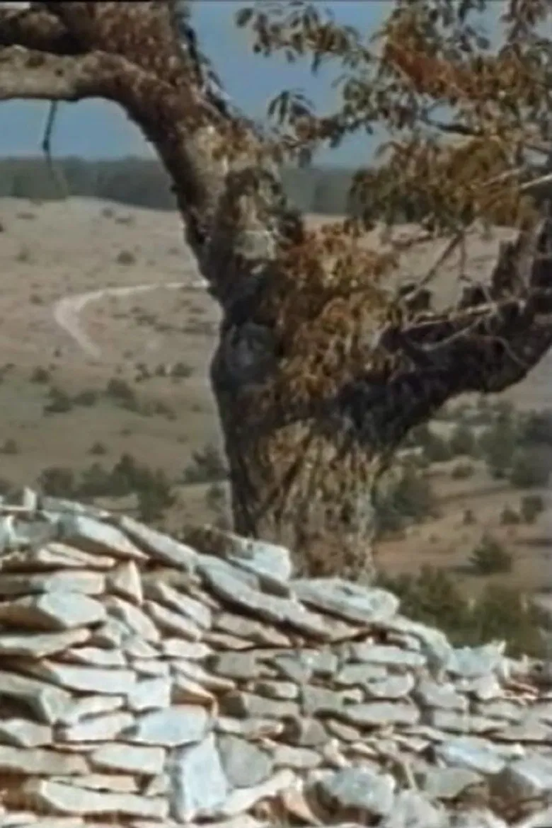 Bookstore: Giono - Stay, my joy poster background