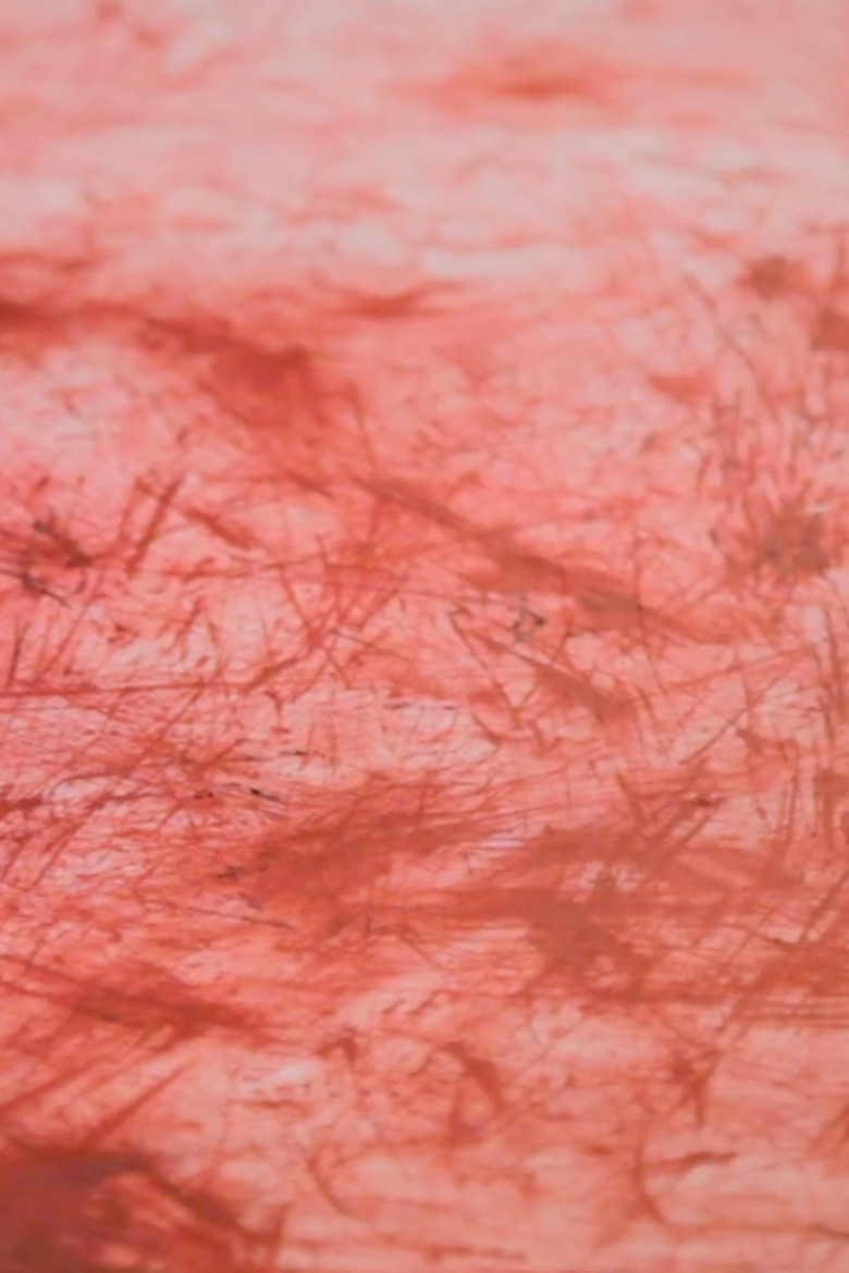 Until My Fingers Bleed poster background