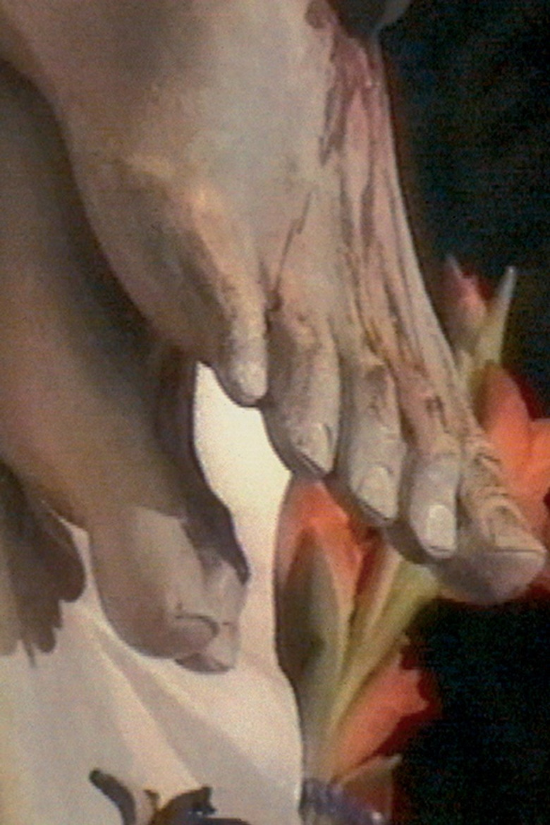 The Silence Is Baroque poster background