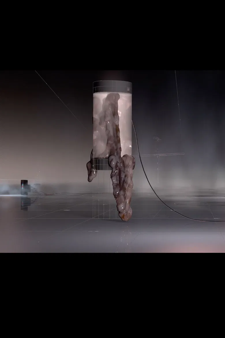 House of Skin poster background