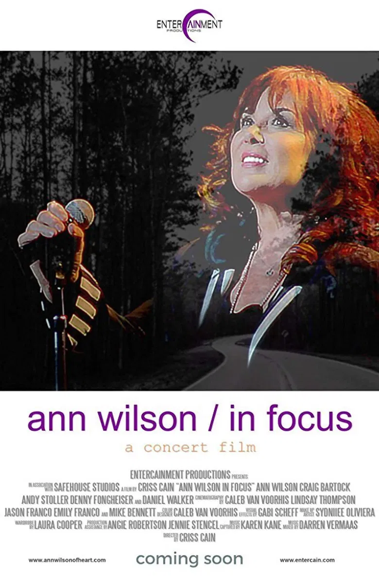 Ann Wilson: In Focus poster background