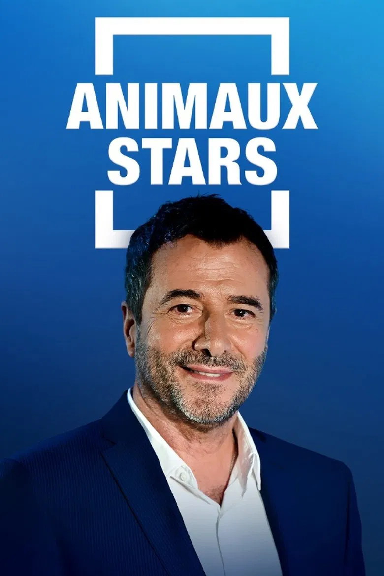 Animaux stars poster background