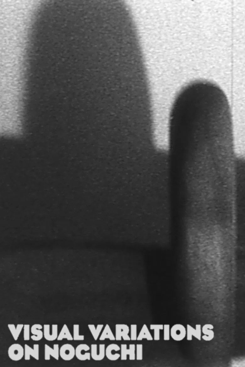 Visual Variations on Noguchi poster background