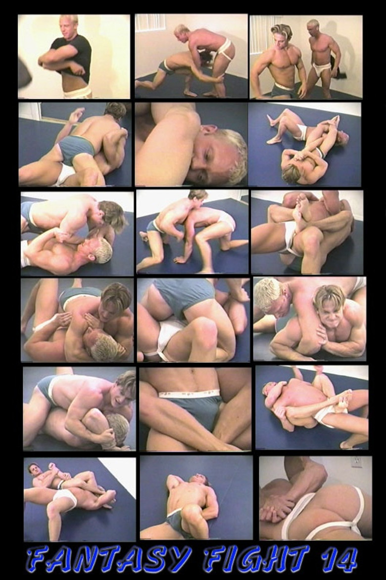 Fantasy Fight 14 poster background
