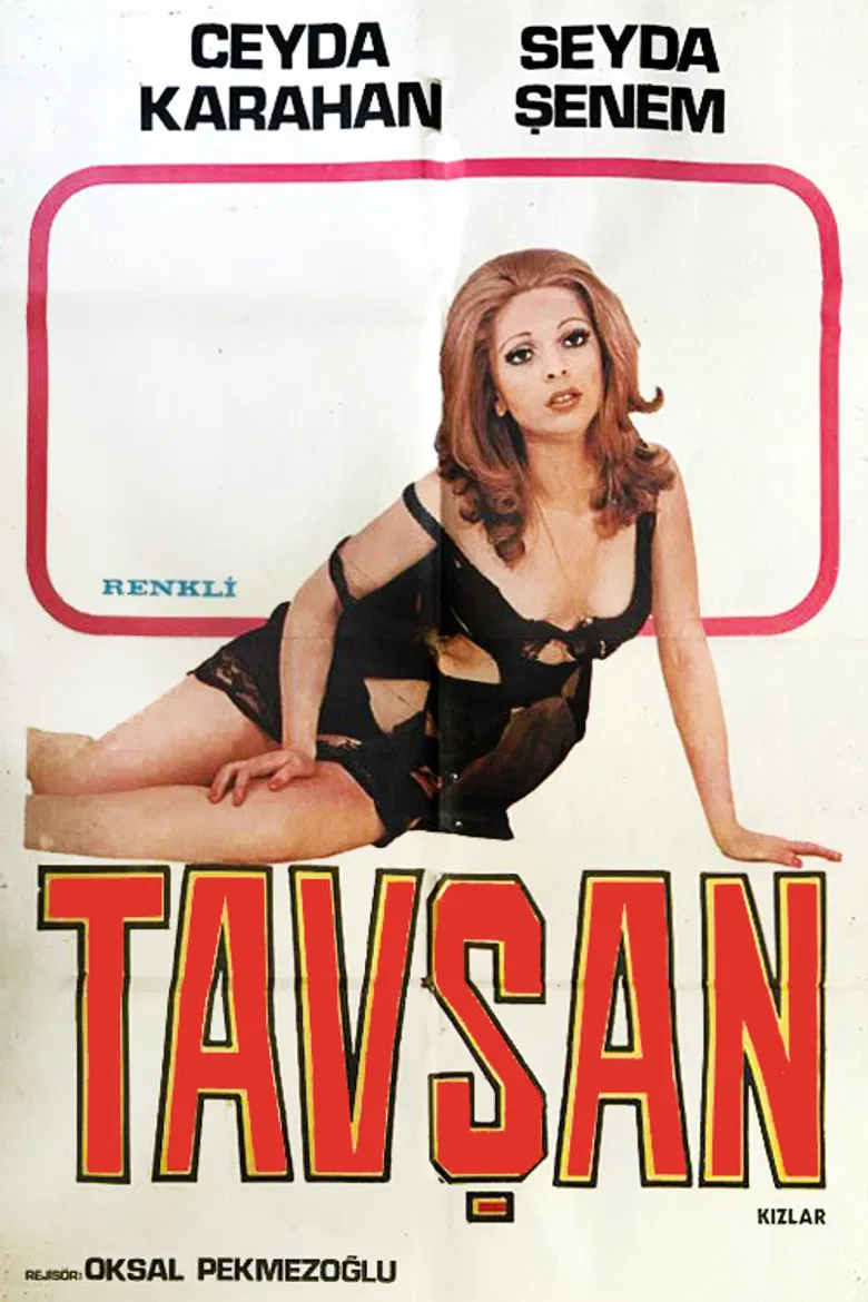 Rabbit Girls poster background