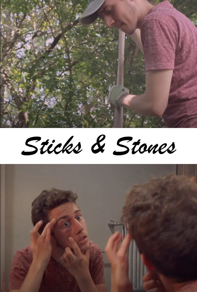 Sticks & Stones poster background