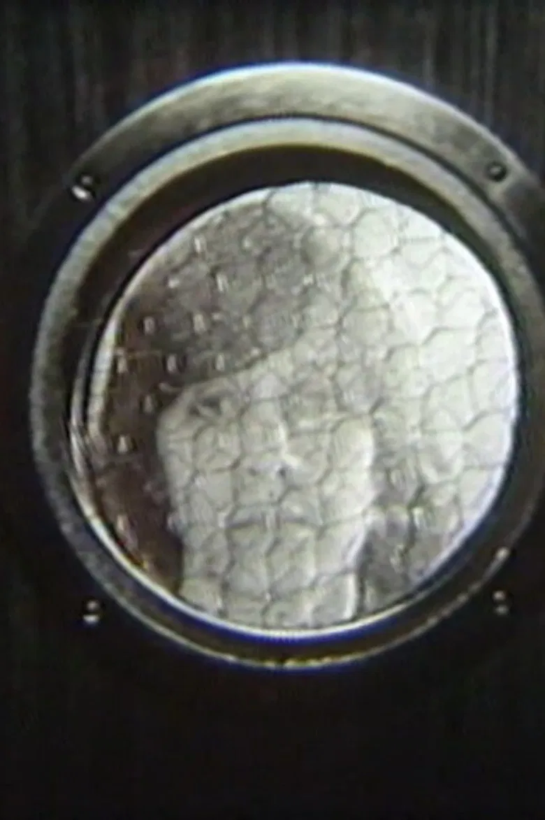 Elevator/Dance poster background