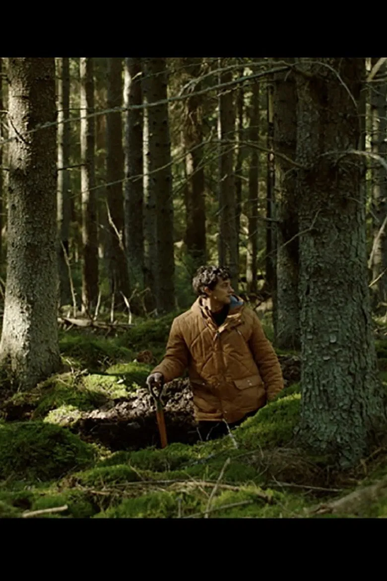 A Favour poster background