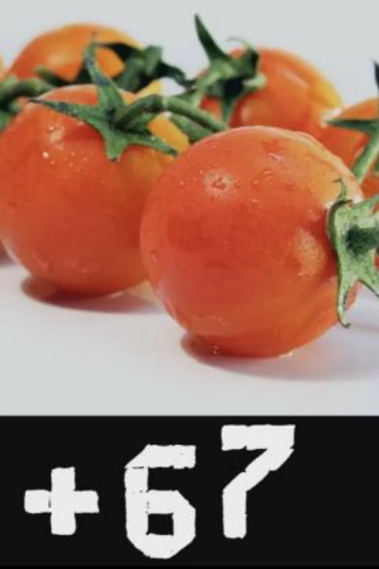 #67 poster background