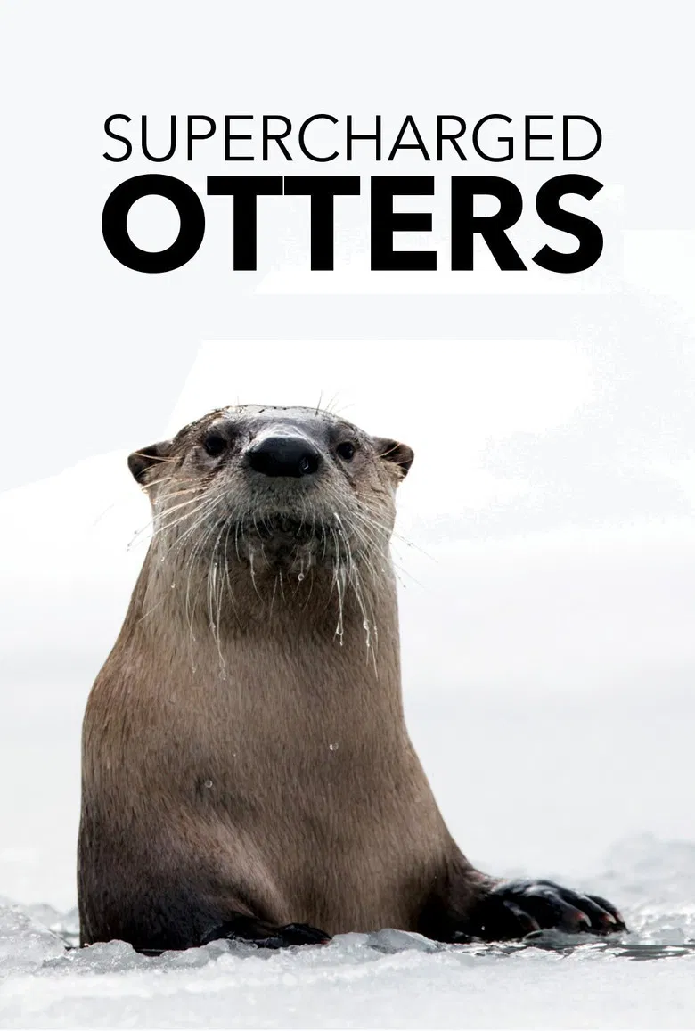 Supercharged Otters poster background