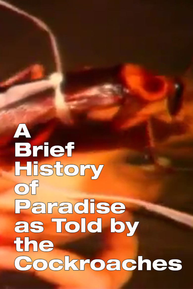 A Brief History of Paradise as Told by the Cockroaches poster background