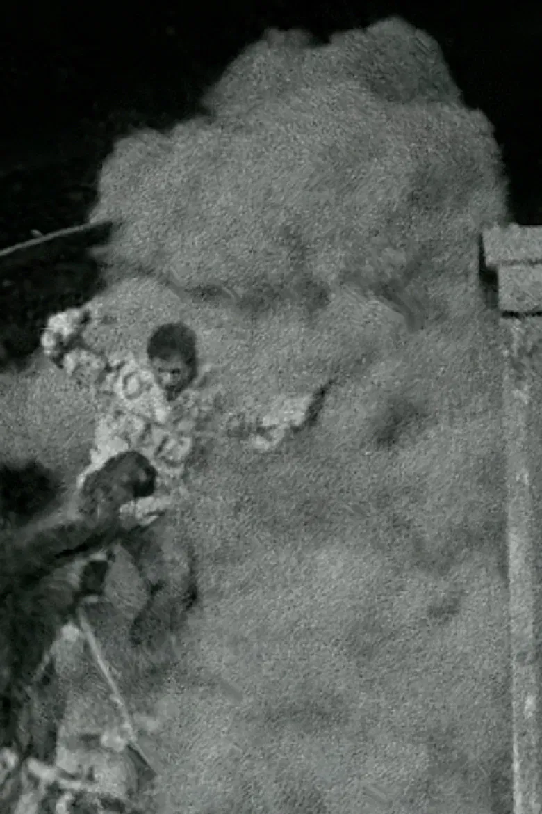 The Black Cat poster background