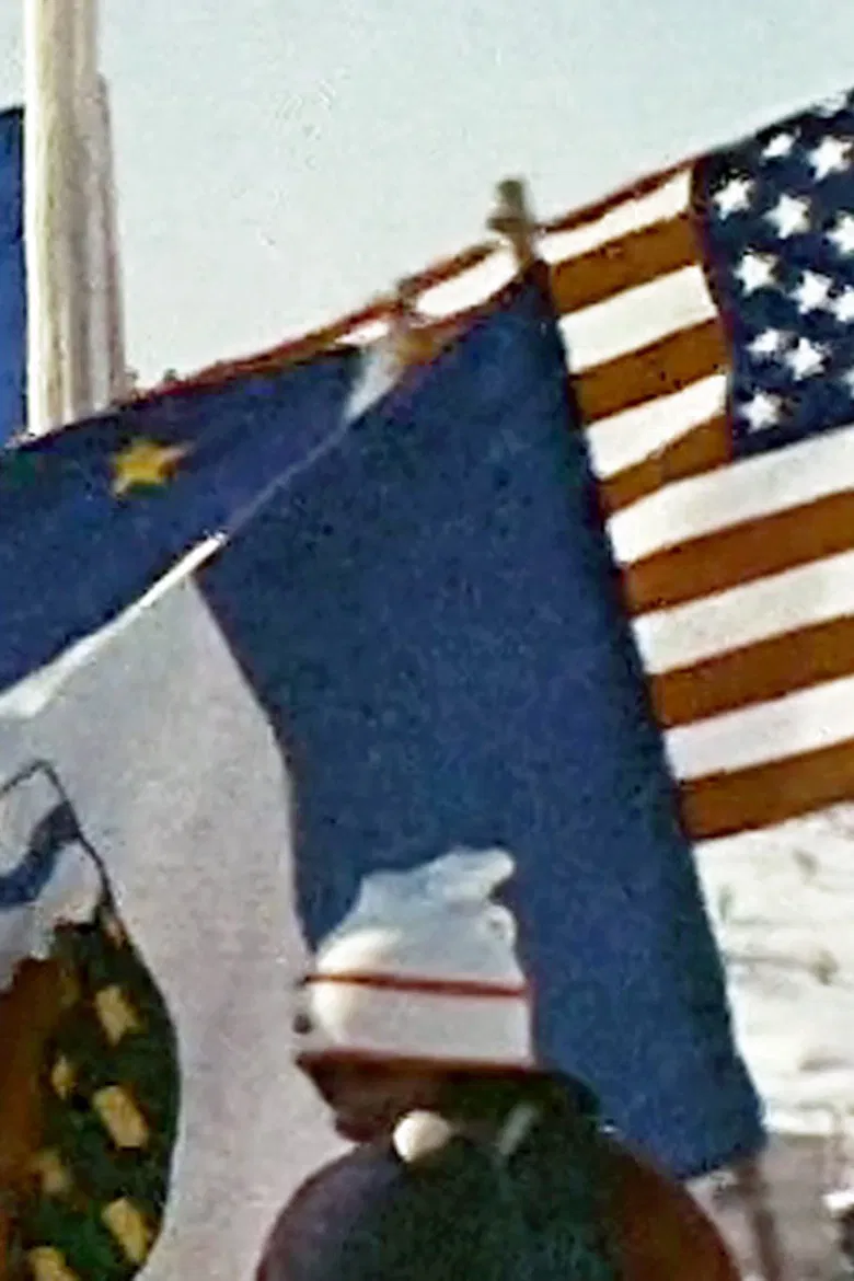 The Second Arctic Winter Games poster background