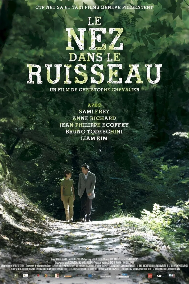 Le nez dans le ruisseau poster background