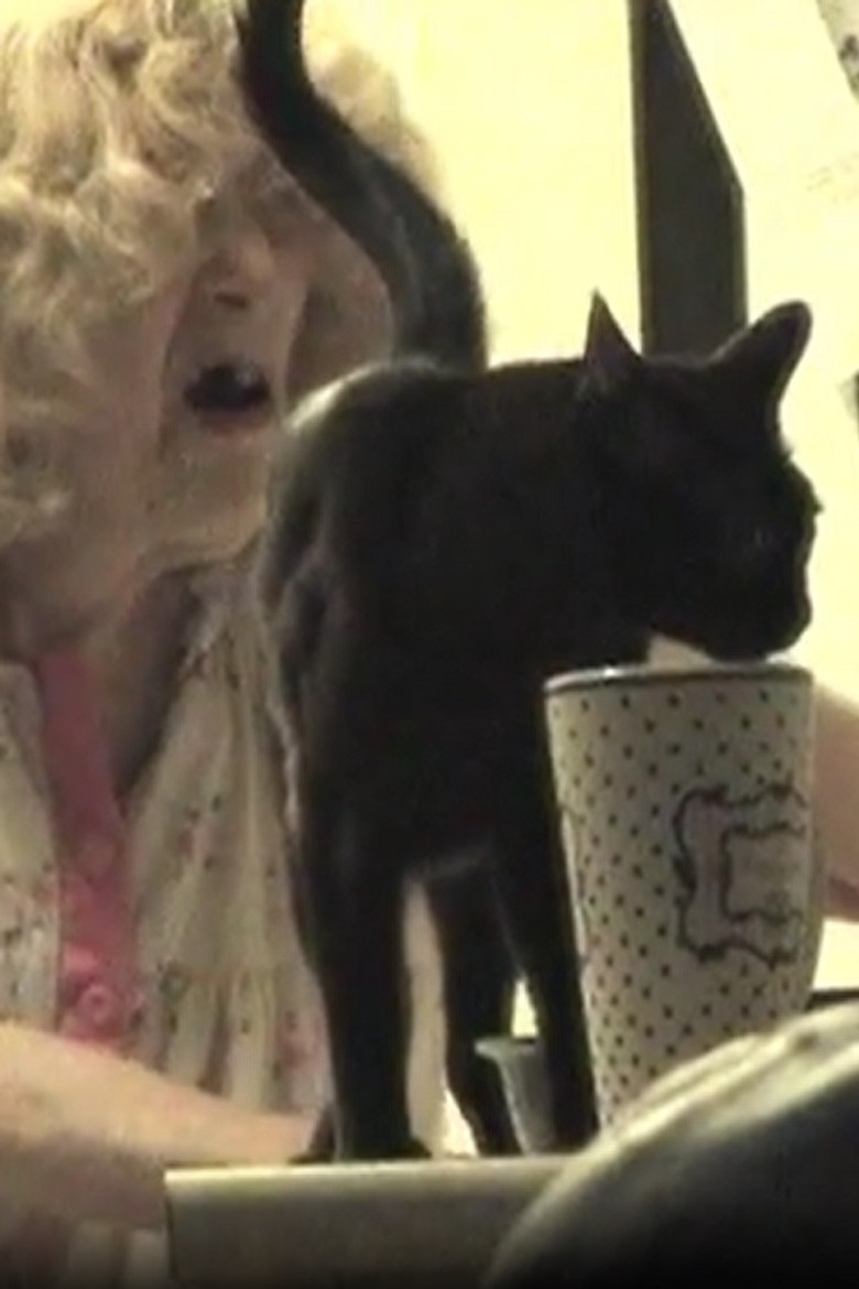 The Butchered Beefcake poster background