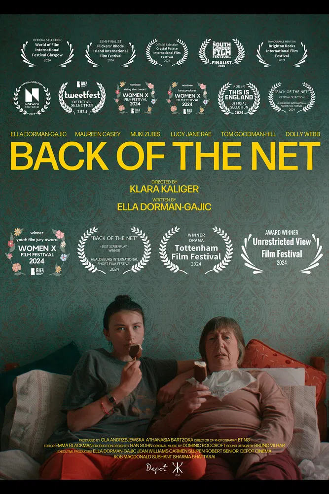 Back of the Net poster background