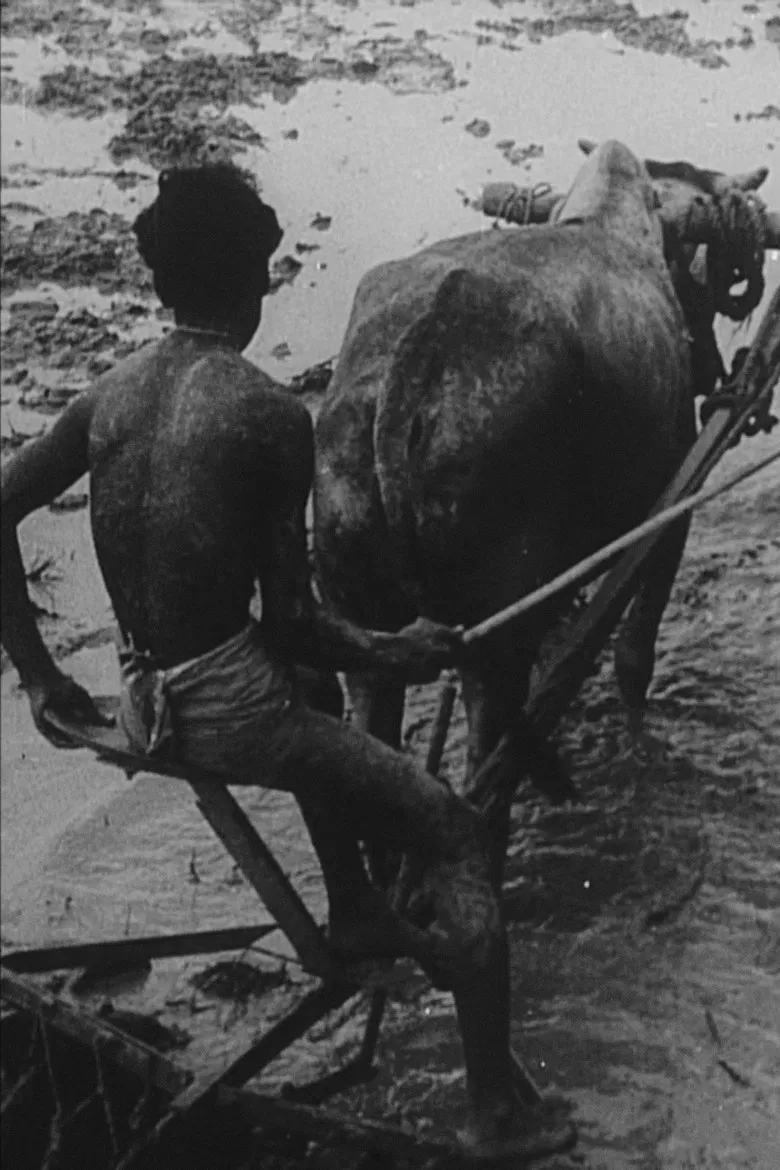 We Have Promises to Keep poster background