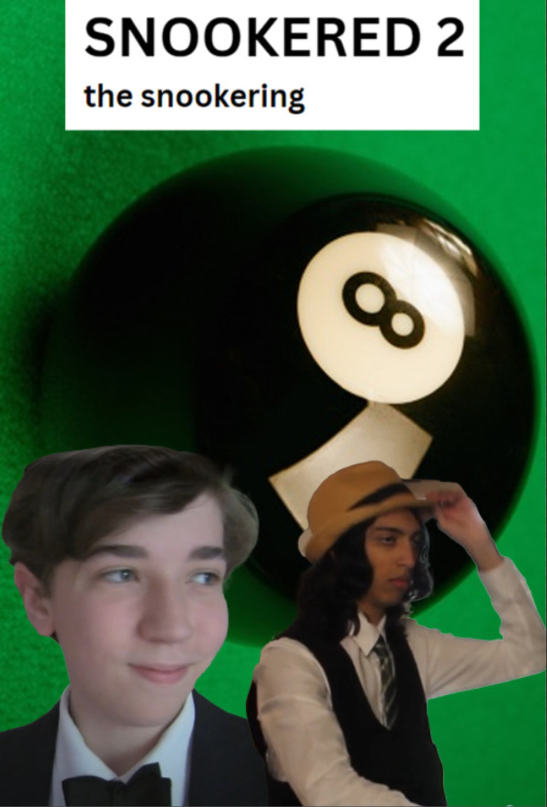 Snookered 2 poster background