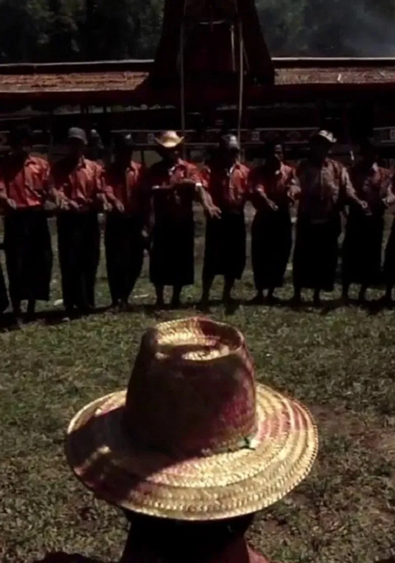 Rabih Beaini Plays Vincent Moon poster background