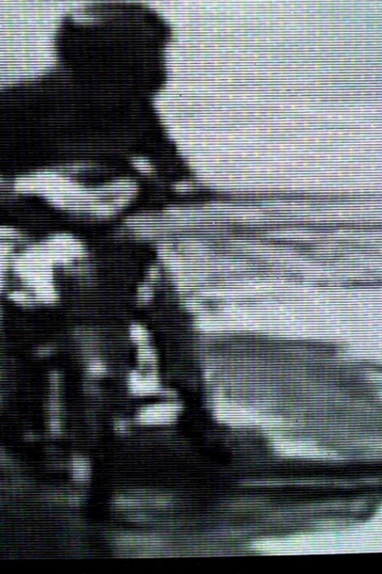 La historia quebrada poster background