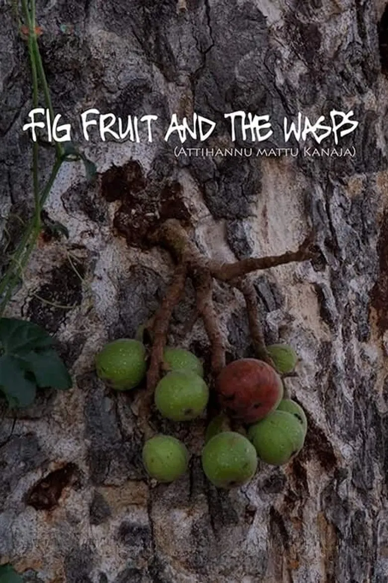 Fig Fruit and The Wasps poster background