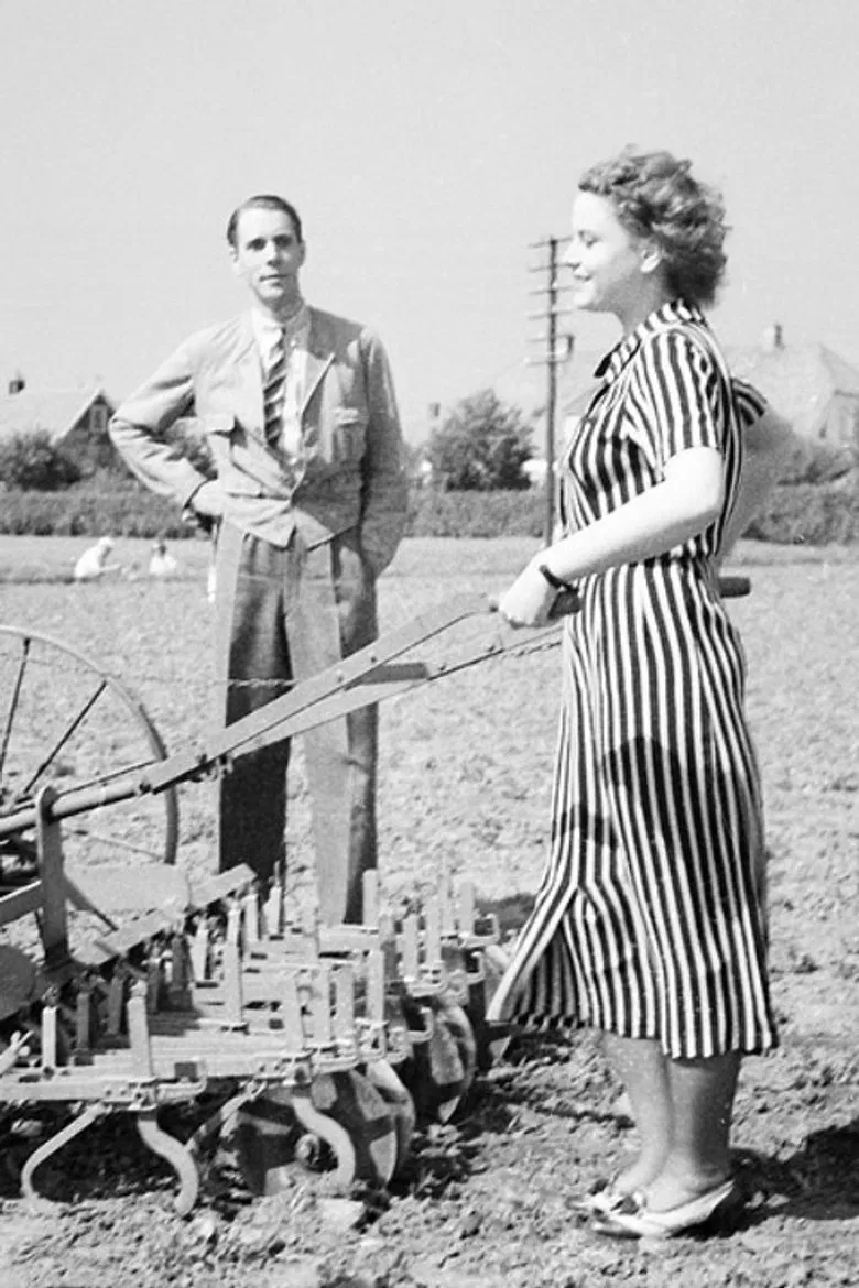 Sockerskrinet poster background