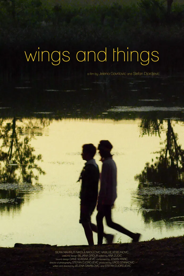 Wings and Things poster background