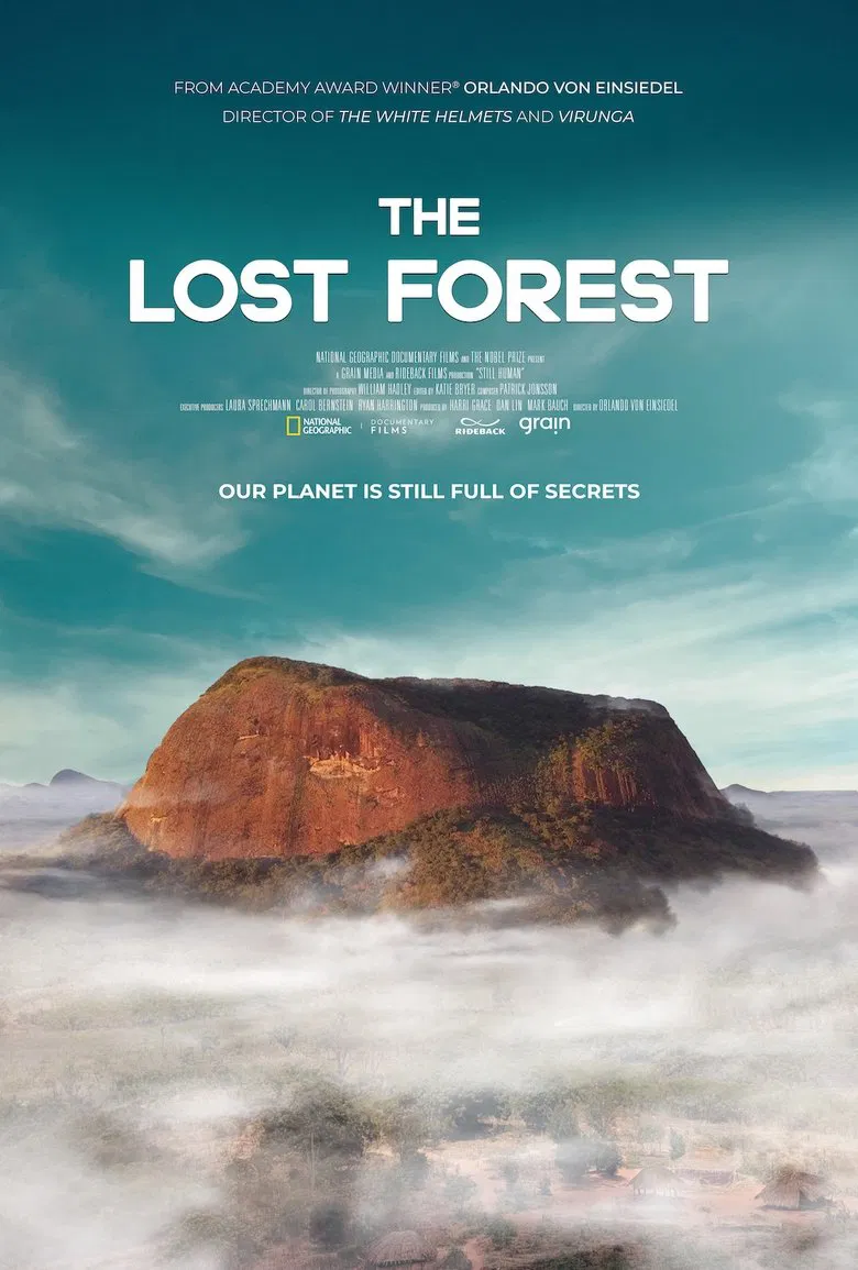 The Lost Forest poster background