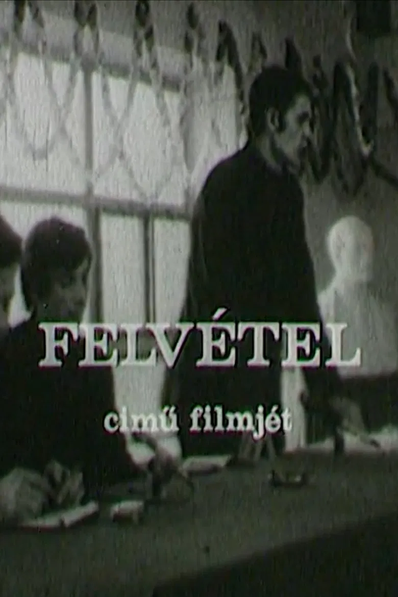 Tagfelvétel poster background