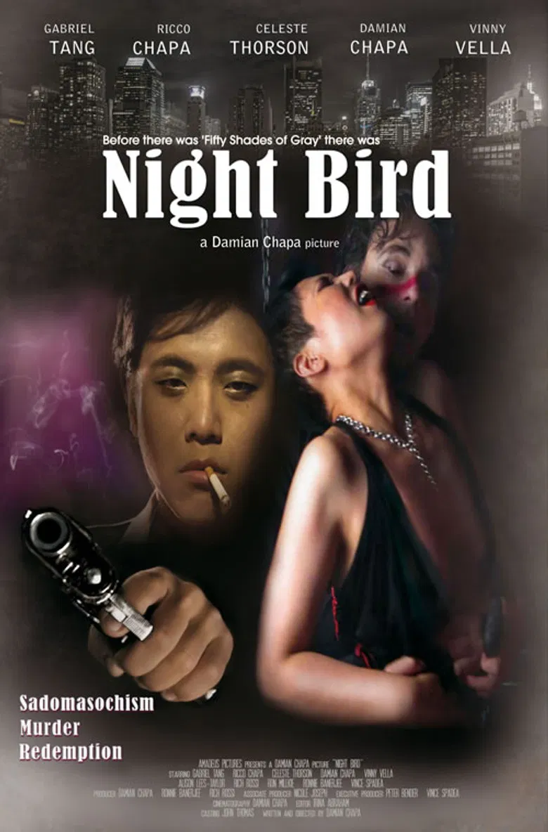 Night Bird poster background