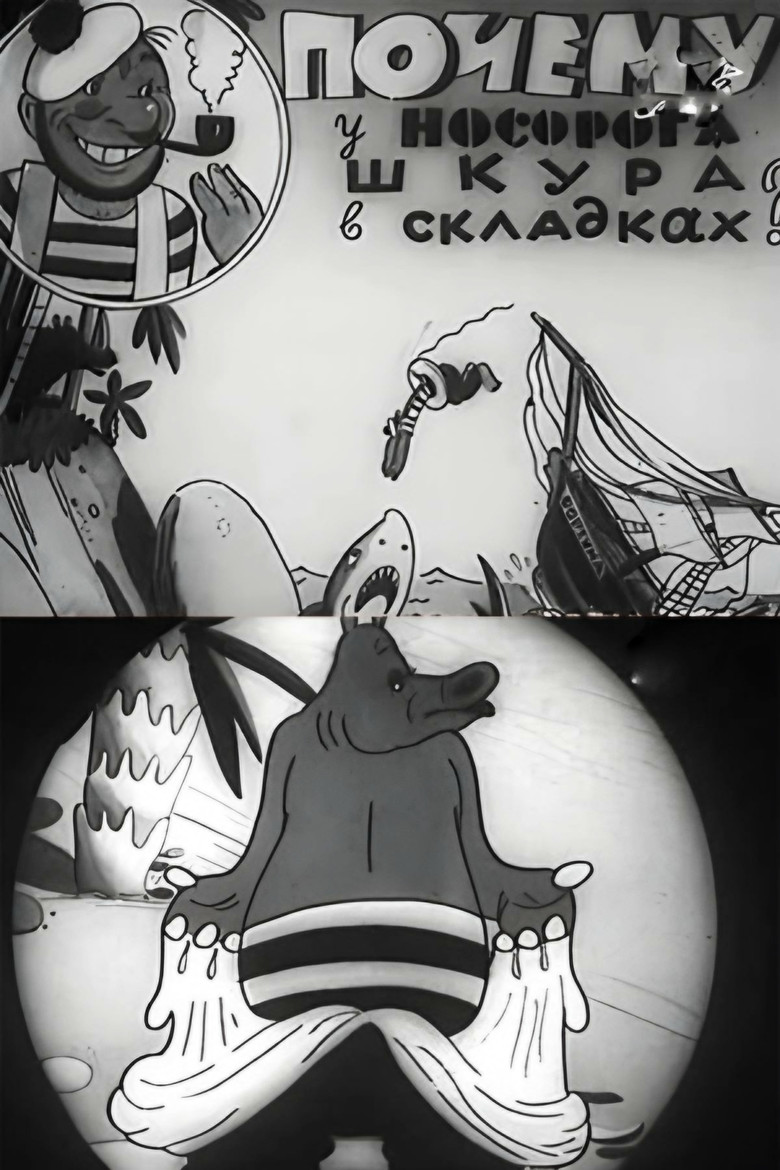 Why Does a Rhino Have Skin Folds? poster background