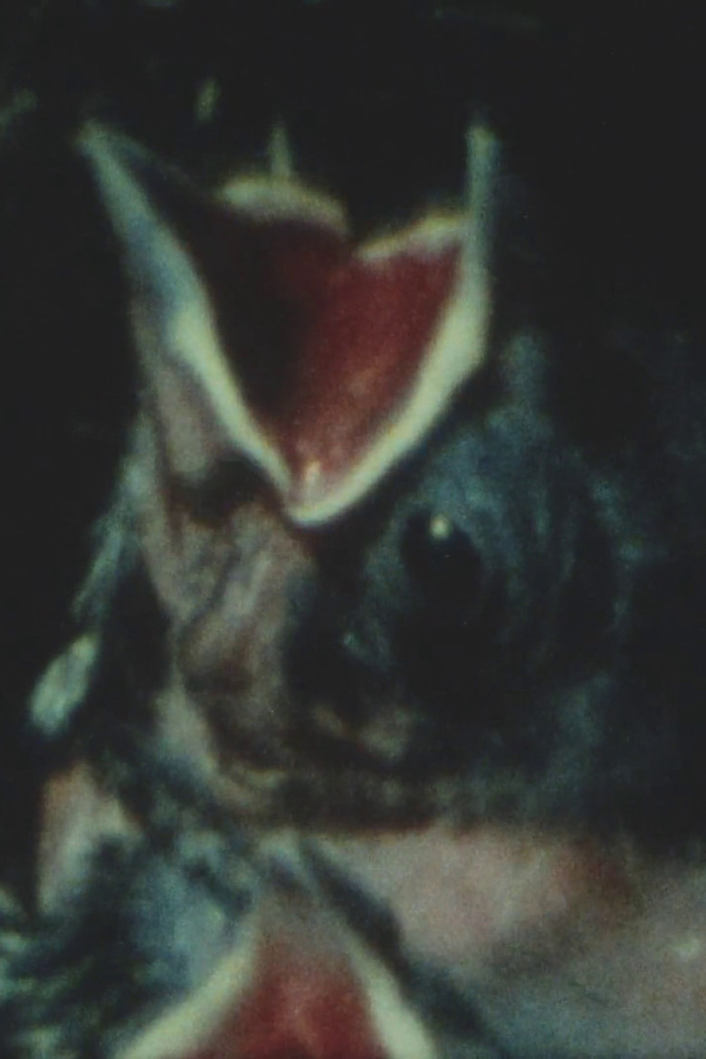 Anything is Everything poster background