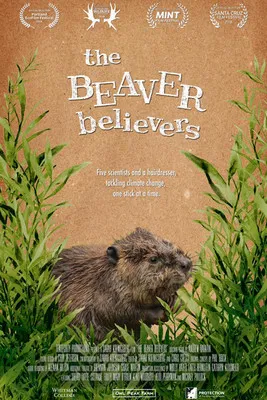 The Beaver Believers poster background