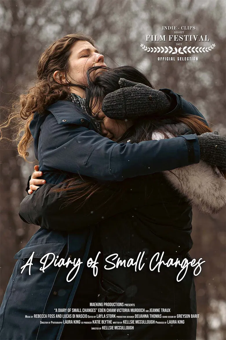 A Diary of Small Changes poster background