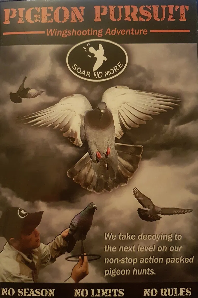 Pigeon Pursuit poster background