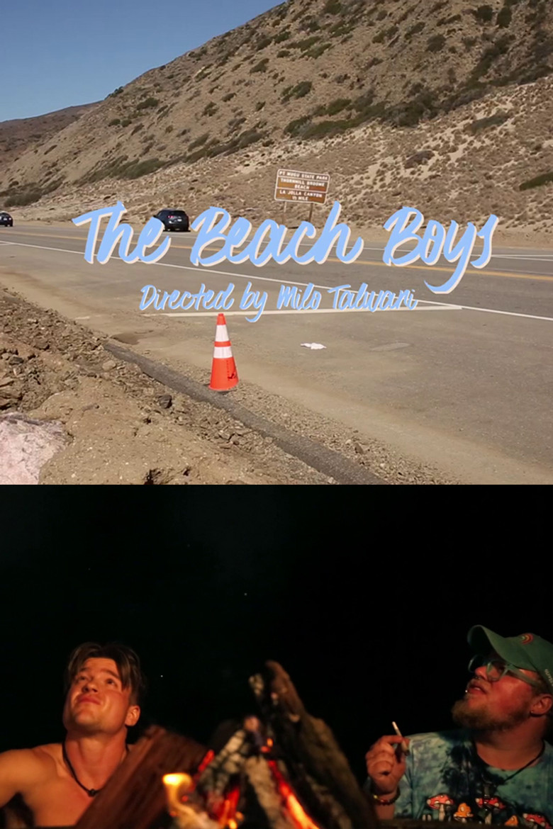 The Beach Boys poster background