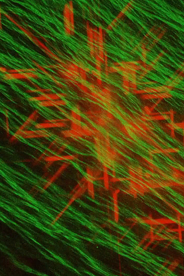 Light Color and Water poster background