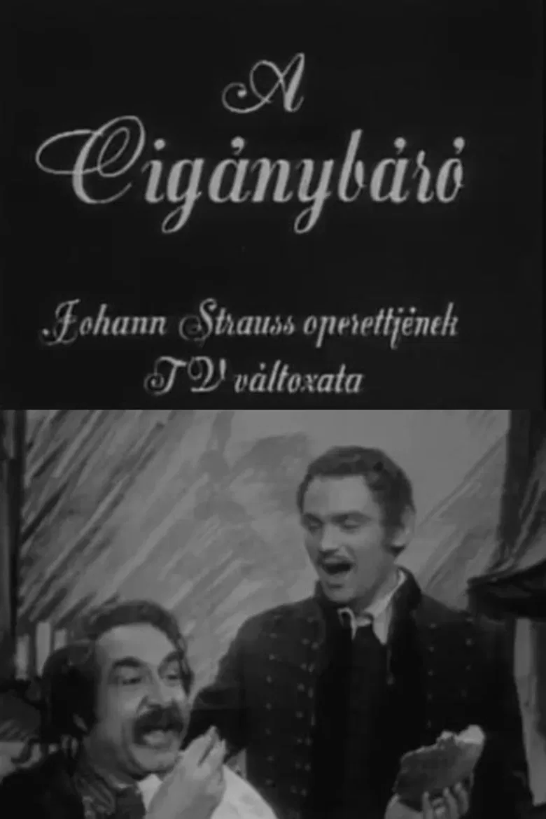 A cigánybáró poster background