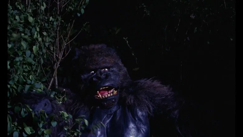 The chaos of the finale