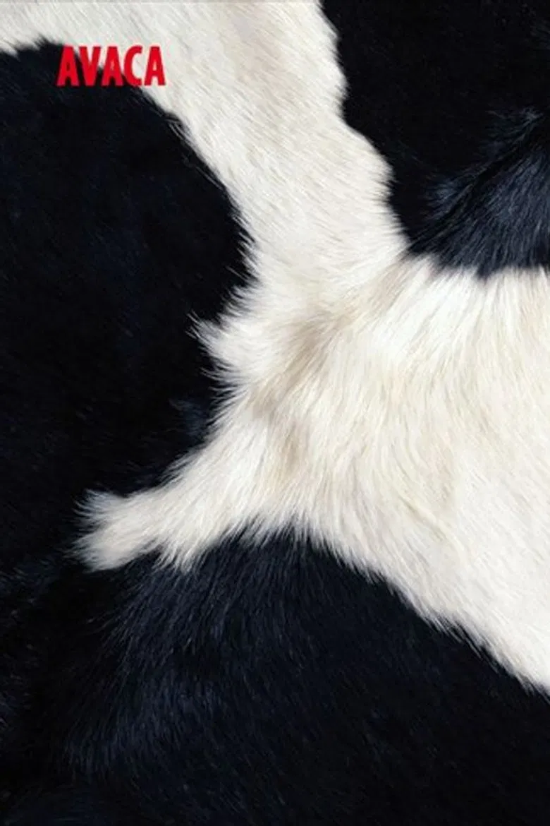 Avaca poster background