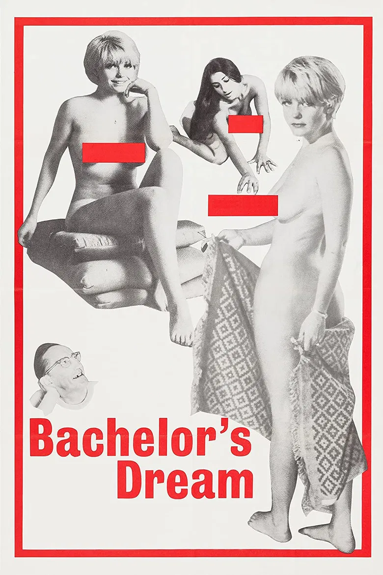 The Bachelor's Dreams poster background