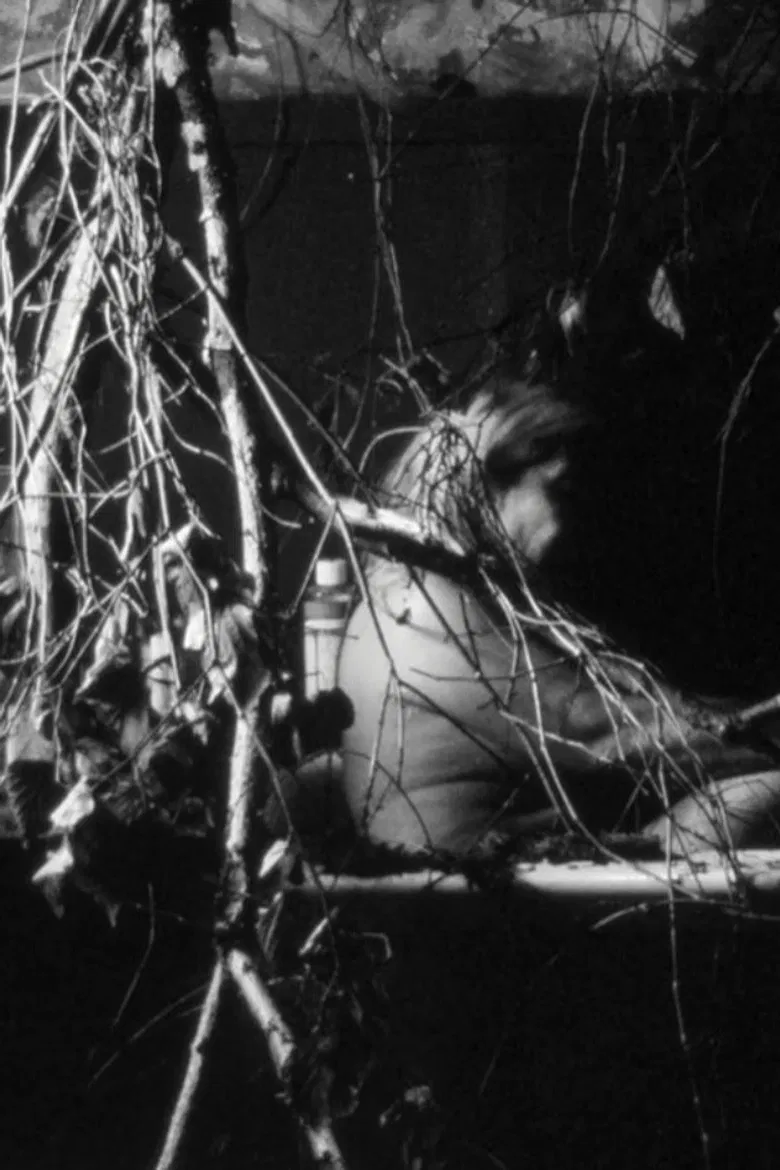 Days of doubt poster background