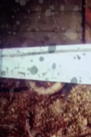 Head poster background