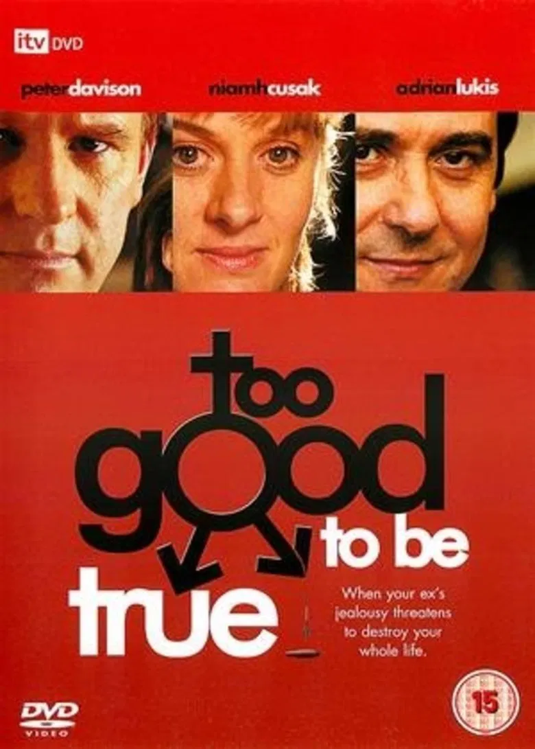 Too Good to Be True poster background
